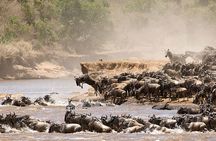 4 Days Luxury Lodge Safari Tour Tanzania