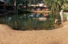 Ksar Ghilane Matmata and hot water source for a day