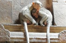 2 day Chettinad tour from Chennai to Palatial mansions with Guide by flight
