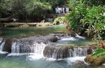 YS Falls and The Pelican Bar Adventure Tour from Kingston