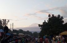 Day trip to materuni waterfalls and coffee tour
