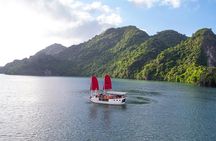 Private tour Halong Bay 1 Day Cruise with Cave, Kayaking