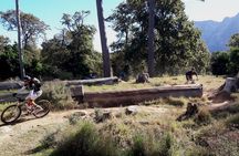 Mountain Biking Table Mountain to Constantia Morning Ride