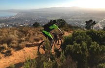 Mountain Biking Table Mountain to Constantia Morning Ride