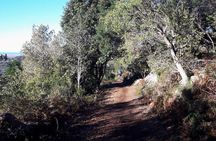 Mountain Biking Table Mountain to Constantia Morning Ride