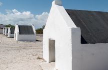 Bonaire Essentials Island Tour