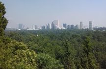 Private Tour Museum of Anthropology and Chapultepec Castle.