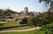 PALENQUE MAYAN RUINS (Private)