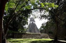 Historical Tikal Tour with Pick-up