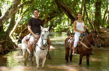 Adventure in the bay of samana and waterfall El limon from punta cana