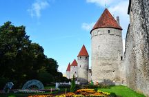 Tallinn Day Tour from Helsinki (Ferry Tickets+ Guiding+ Own Time)
