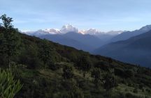 4Nights 5Days PoonHill Trek