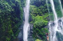 Jatiluwih rice terraces,ulundanu and sekumpul waterfall trips