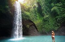Ubud Nature Waterfall Tour