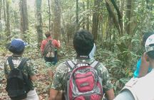 Caves and Waterfalls Day Tour