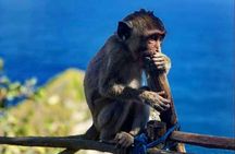Nusa Penida Island Tour