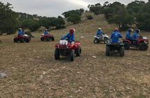 Essaouira: 2H/Quad+1H/Dromedary ride free transfer