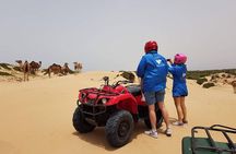 Essaouira: 2H/Quad+1H/Dromedary ride free transfer