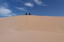  Excursion: 1H/Quad+1H/Camels (free transfer)