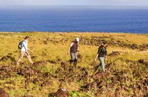 Miru: The North Coast Full Day Hike