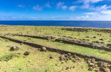 Miru: The North Coast Full Day Hike