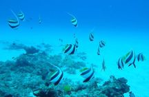 Underwater Sea Walk & Beaches In The North With Transportation