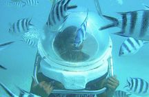 Underwater Sea Walk & Beaches In The North With Transportation