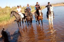 Ride the cast of famous Hollywood movies on set in their natural environment!