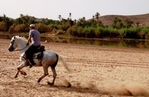 Ride the cast of famous Hollywood movies on set in their natural environment!