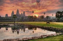 One Day Private Guide Tour of Angkor Thom, Bayon, Ta Phrom & Angkor Wat