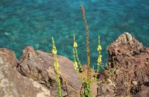 Caves and Lava Fields: Half Day Hike