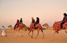 Dubai Red Dunes Desert Safari : Sandboarding, BBQ & Live Shows