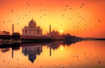 5 Day Delhi Agra Jaipur with Ranthambore-Taj Mahal Sunrise/Sunset