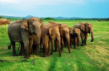 Private Jeep Safari To one of a Best National Park