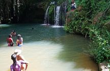 Ngare Ndare Forest Excursion