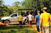 Private Tour : YALA National Park with Experienced Driver/Guide