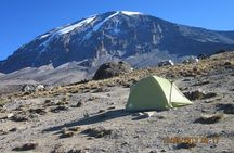 8-Day Kilimanjaro Adventure-Lemosho Route