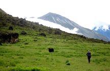 3 days hike to Sundarijal-Chisapani-Nagarkot from Kathmandu