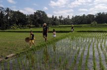 Balinese Cooking Class at Organic Farm