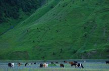 Kazbegi Adventure - Private Day Trip From Tbilisi with a Dinner + Masterclass