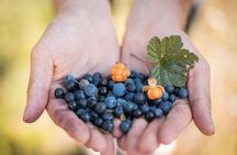 Wild Berries and Mushroom picking tour