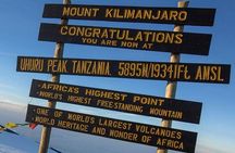 8-Day Kilimanjaro Adventure-Lemosho Route
