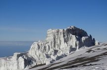 8-Day Kilimanjaro Adventure-Lemosho Route