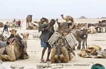 Explore the unique planet, Danakil Depression!
