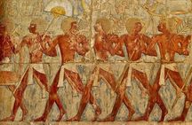 Private Guided tour Valley of the King ,Queen Hatshepsut, &Memnon