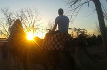 Agadir Camel Riding +Sunset and Dinner( barbecue)