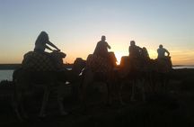 Agadir Camel Riding +Sunset and Dinner( barbecue)