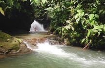 Ebano Waterfalls and Rainforest Safari Tour