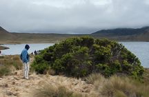 Private Excursion to Antisana Ecological Reserve