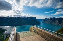 Private tour, Bergen to Oslo - Nærøyfjord Cruise & Flåm Railway